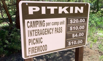 Camping near Middle Quartz: Pitkin Campground, Pitkin, Colorado