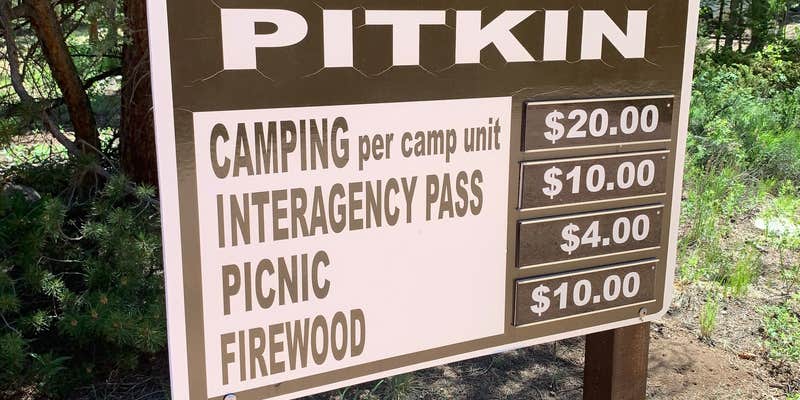 Camper submitted image from Pitkin Campground