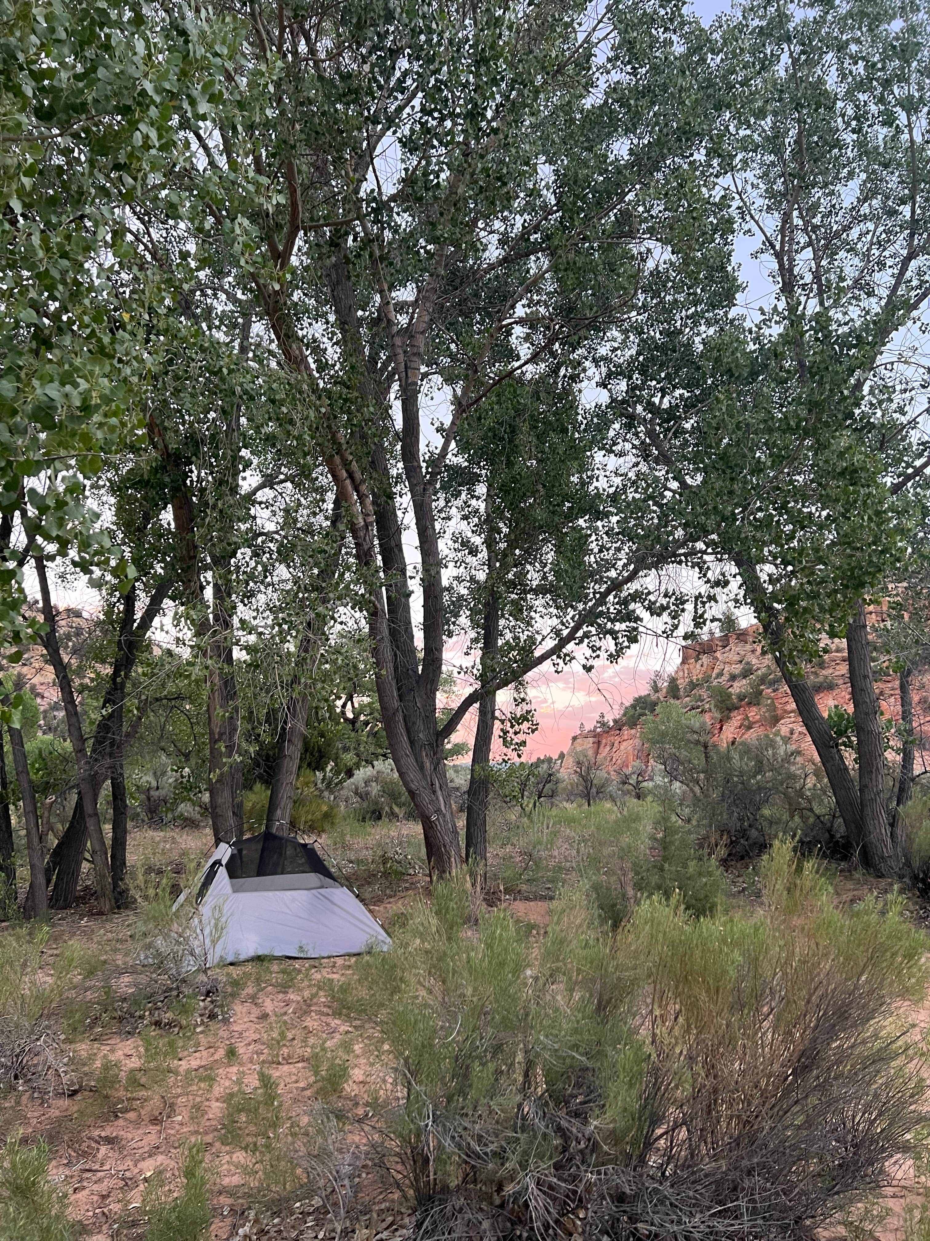 Camper-submitted photo at Twin Hollows Canyon near Parowan, UT