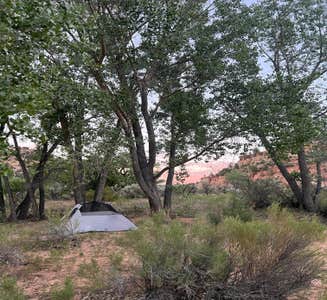 Camper-submitted photo from Zion River Resort