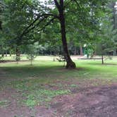 Review photo of Feyrer Park by Bjorn S., July 26, 2016