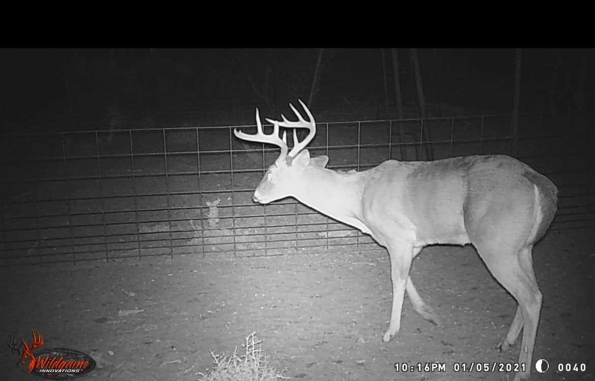 Camper-submitted photo at 10 Point Turtle Ranch near Eagle Pass, TX