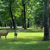 Review photo of Deep Creek Lake State Park Campground by Paul S., July 2, 2022