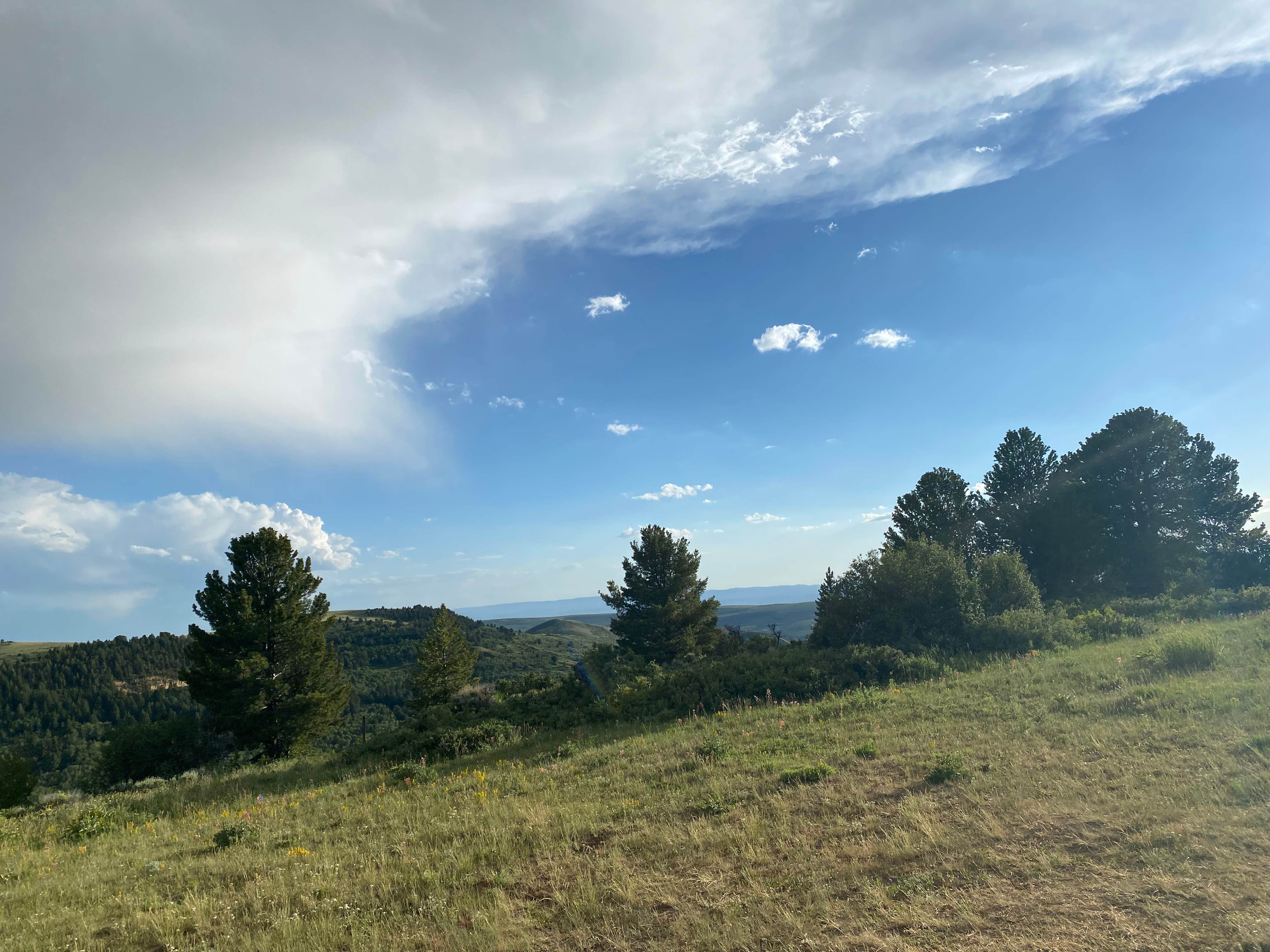 Camper submitted image from Fossil Butte National Monument BLM - 2