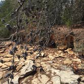 Review photo of Oconee State Park Campground by Meridith  M., July 17, 2018