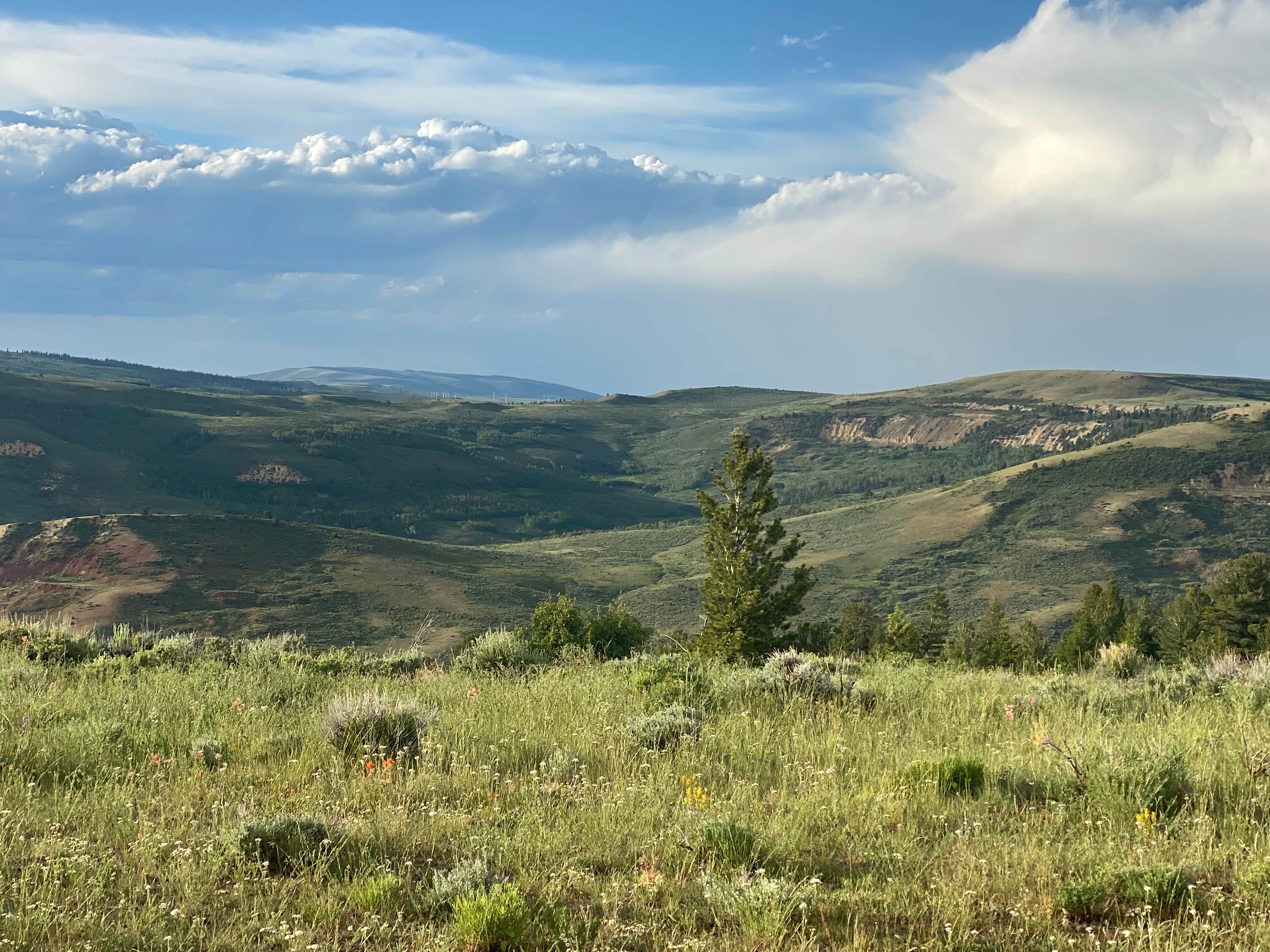 Camper-submitted photo at Fossil Butte National Monument BLM near Cokeville, WY