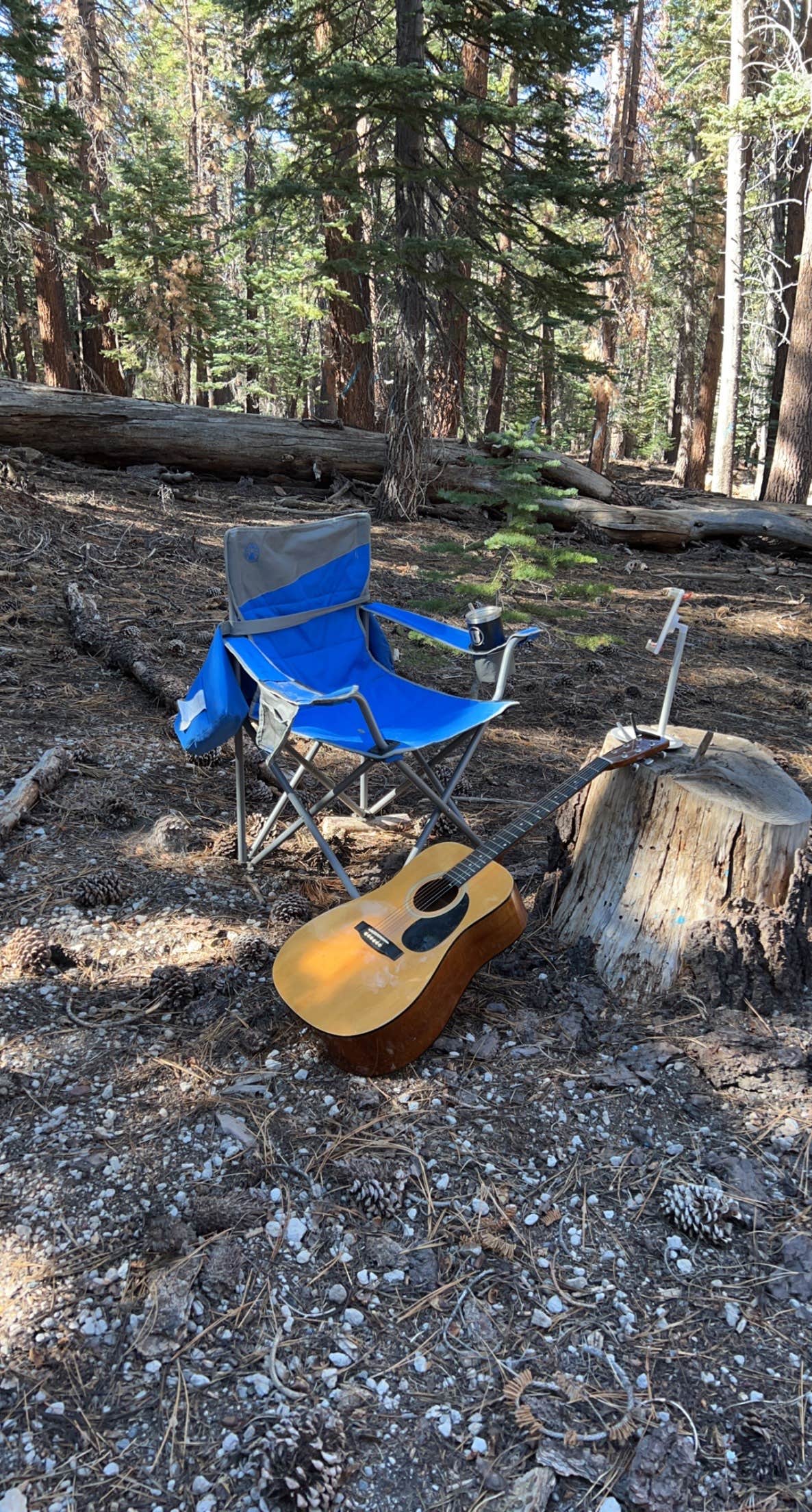 Camper-submitted photo at Scenic Loop - Dispersed Camping near Mono Hot Springs, CA