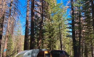 Jeffrey F.'s photo at Scenic Loop - Dispersed Camping near Inyo National Forest