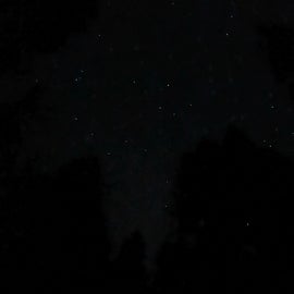 beautiful view of the stars through the line trees