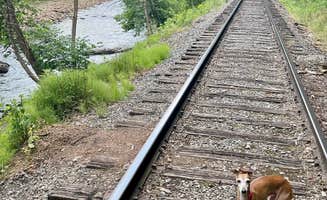 Paul S.'s photo of camping with pets at Revelle’s River Resort near Weston, WV