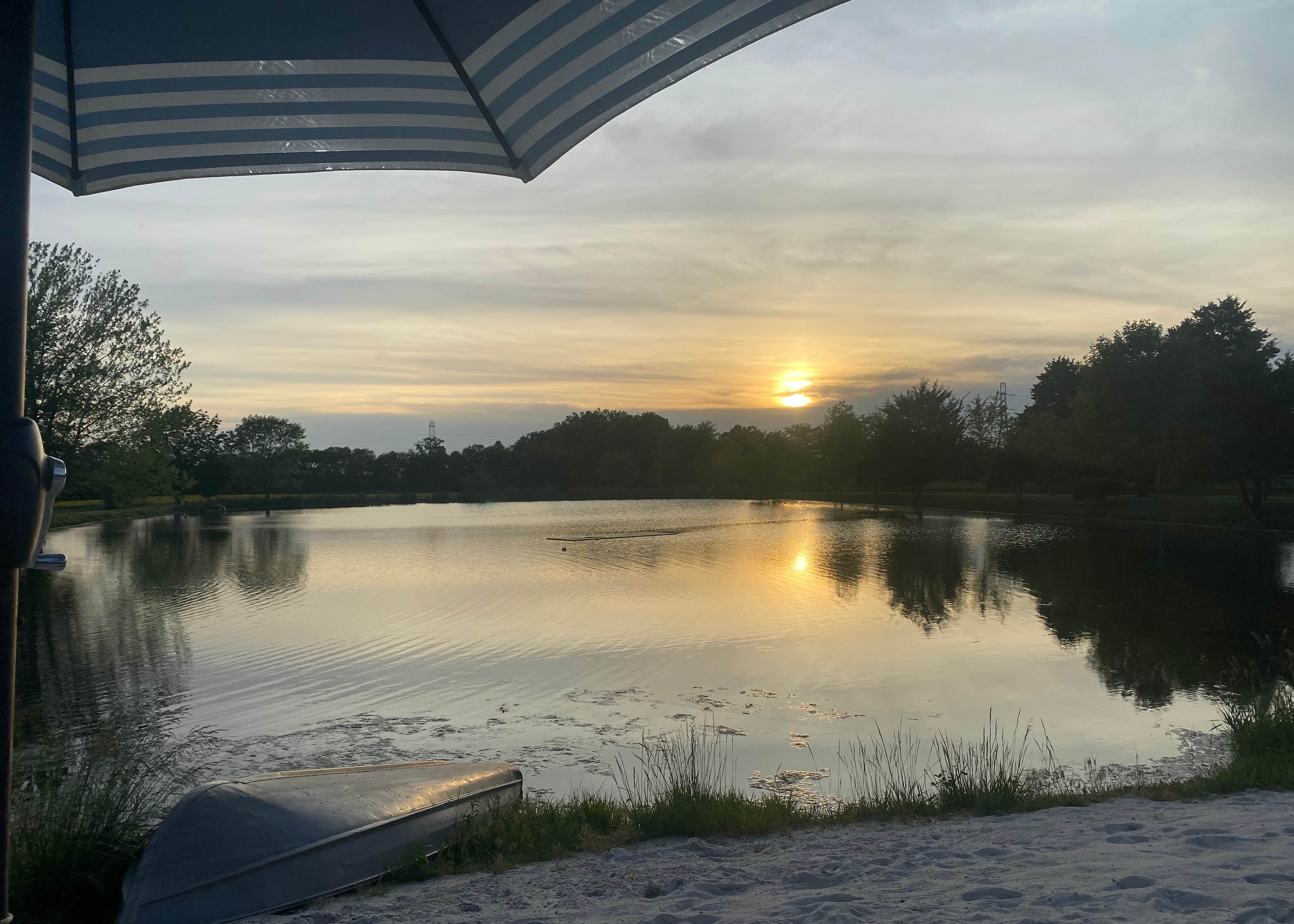 View All