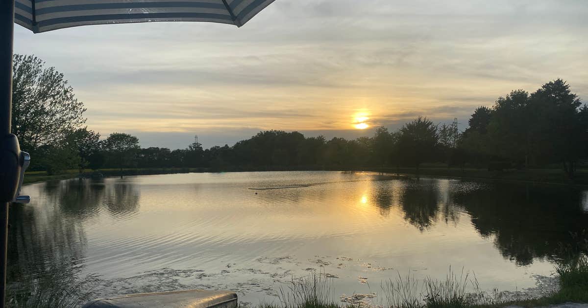 On Cedar Pond
