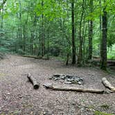 Review photo of Harold Parrish Lower Camp - Backcountry by Claire K., July 2, 2022