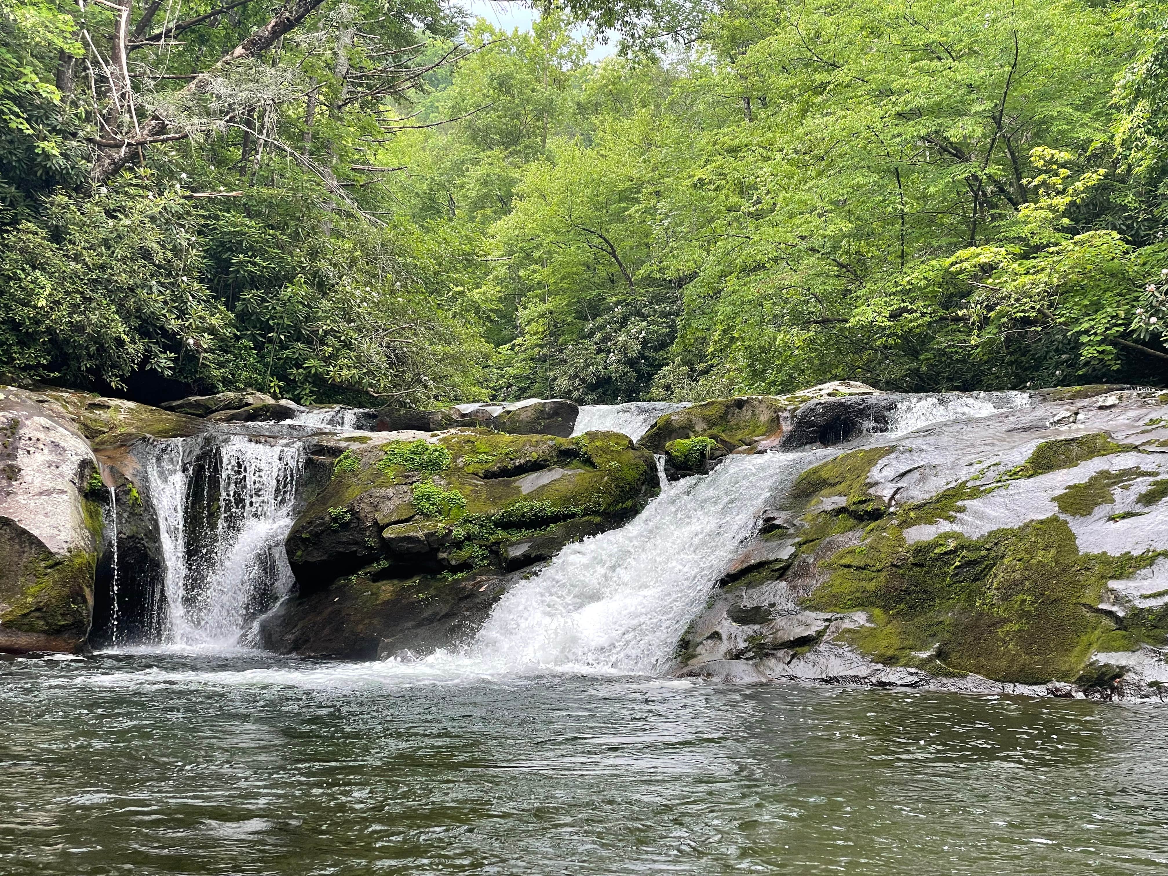 Camper-submitted photo at Harold Parrish Lower Camp - Backcountry near Tallassee, TN