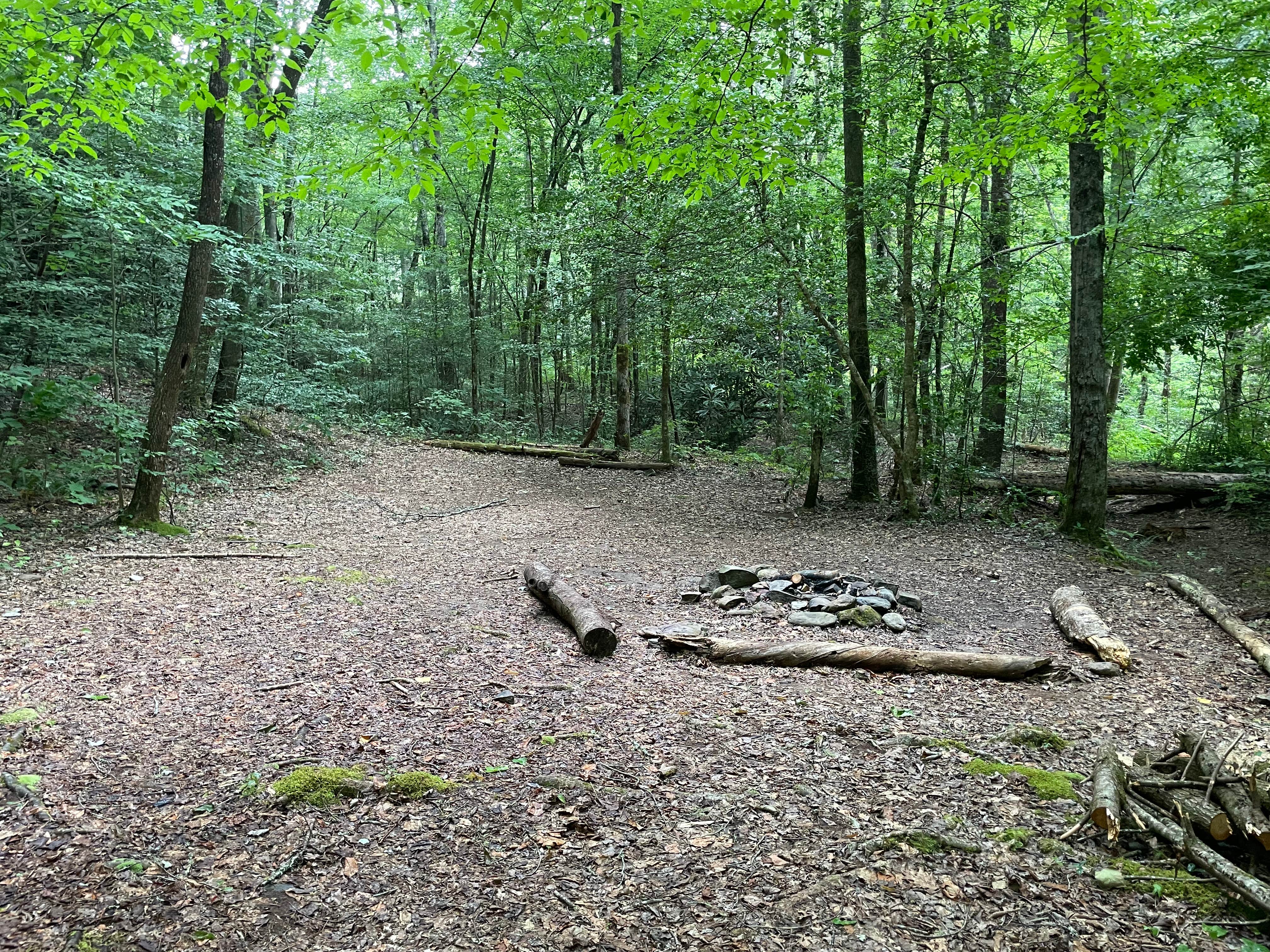 Camper-submitted photo at Harold Parrish Lower Camp - Backcountry near Tallassee, TN