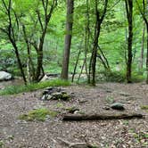 Review photo of Harold Parrish Lower Camp - Backcountry by Claire K., July 2, 2022