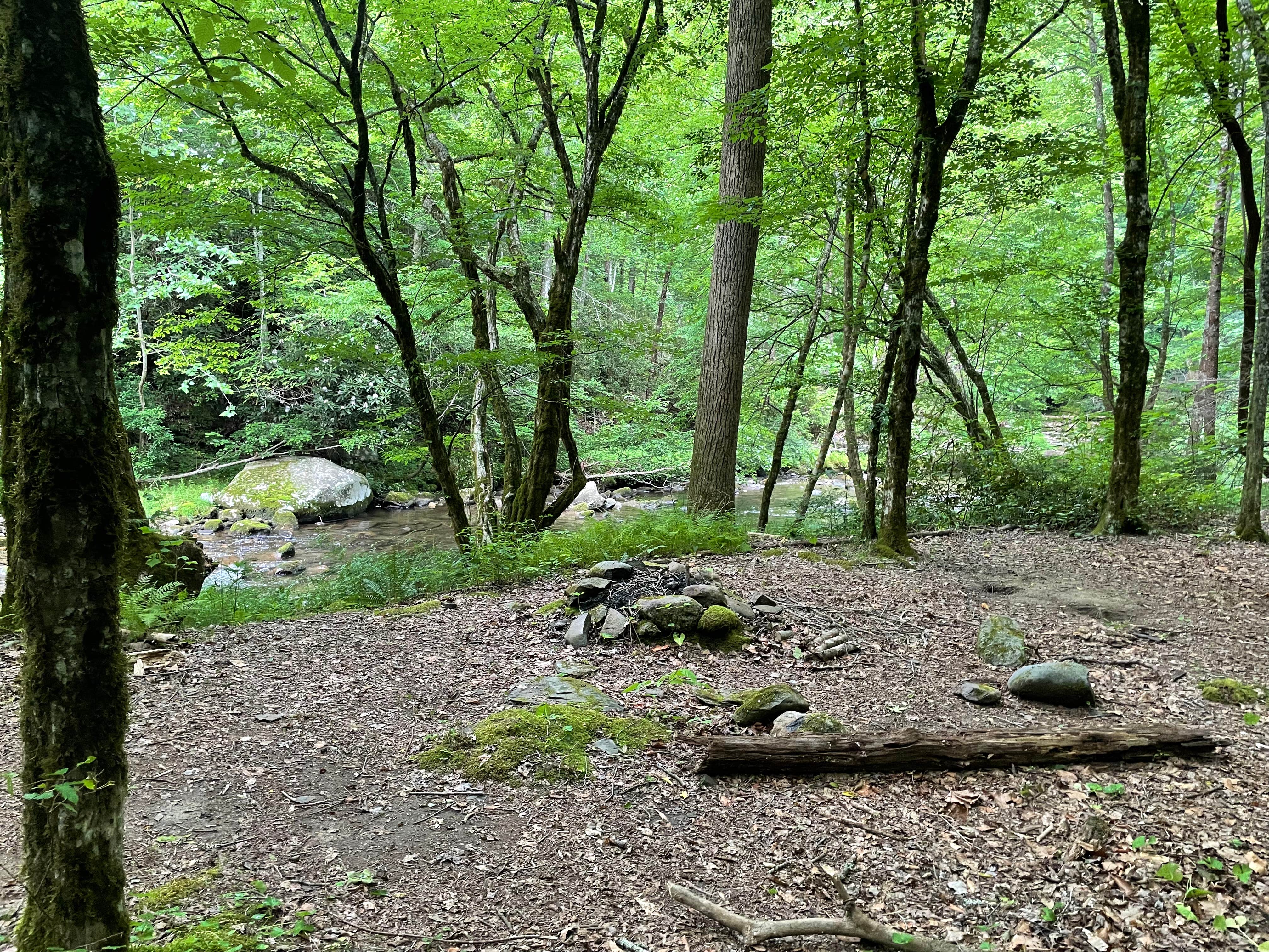 Camper submitted image from Harold Parrish Lower Camp - Backcountry - 2