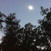 Review photo of Cypress View Campground — Santee State Park by Meridith  M., July 17, 2018