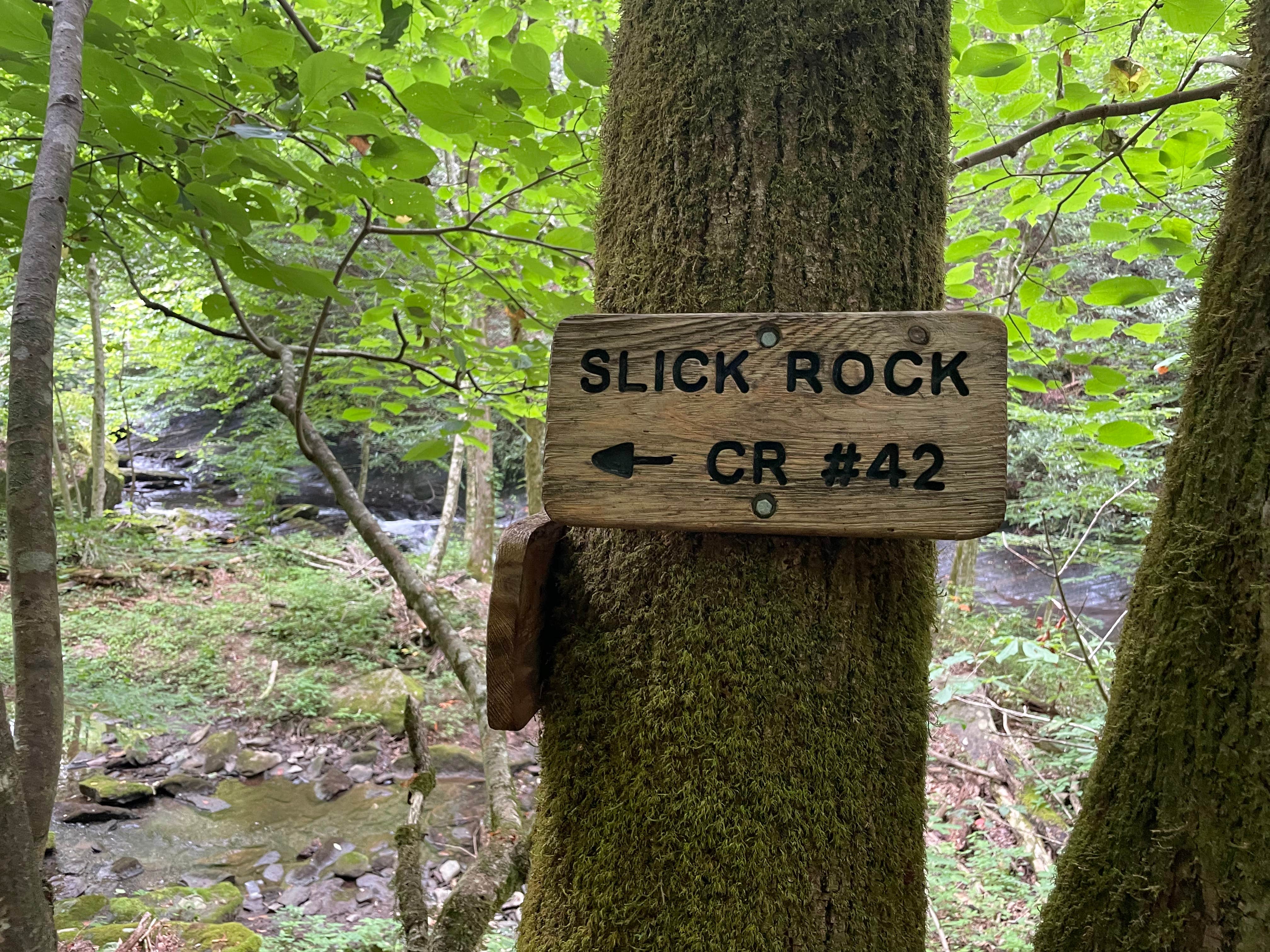 Camper-submitted photo at Harold Parrish Lower Camp - Backcountry near Tallassee, TN
