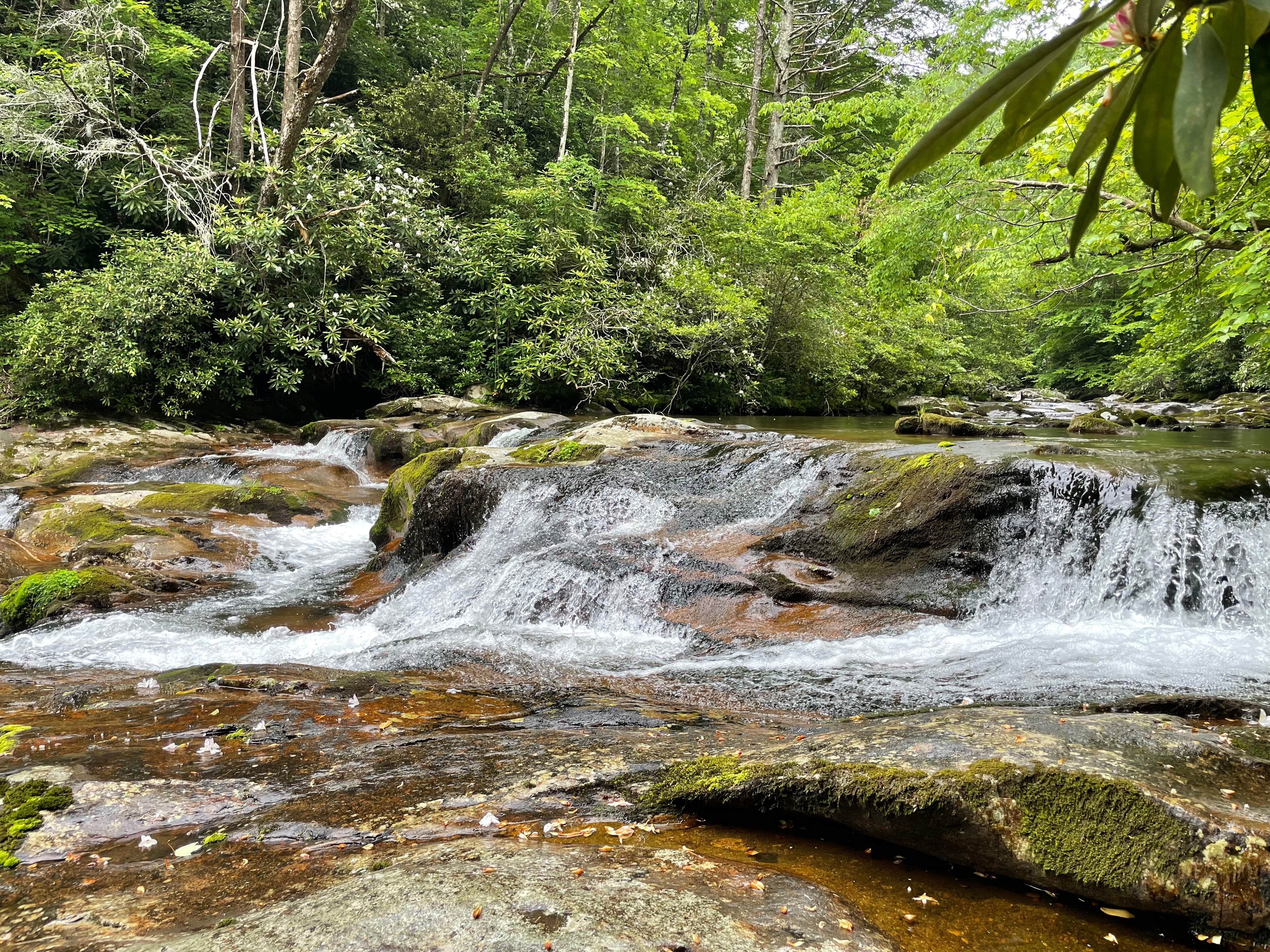 Camper-submitted photo at Harold Parrish Lower Camp - Backcountry near Tallassee, TN
