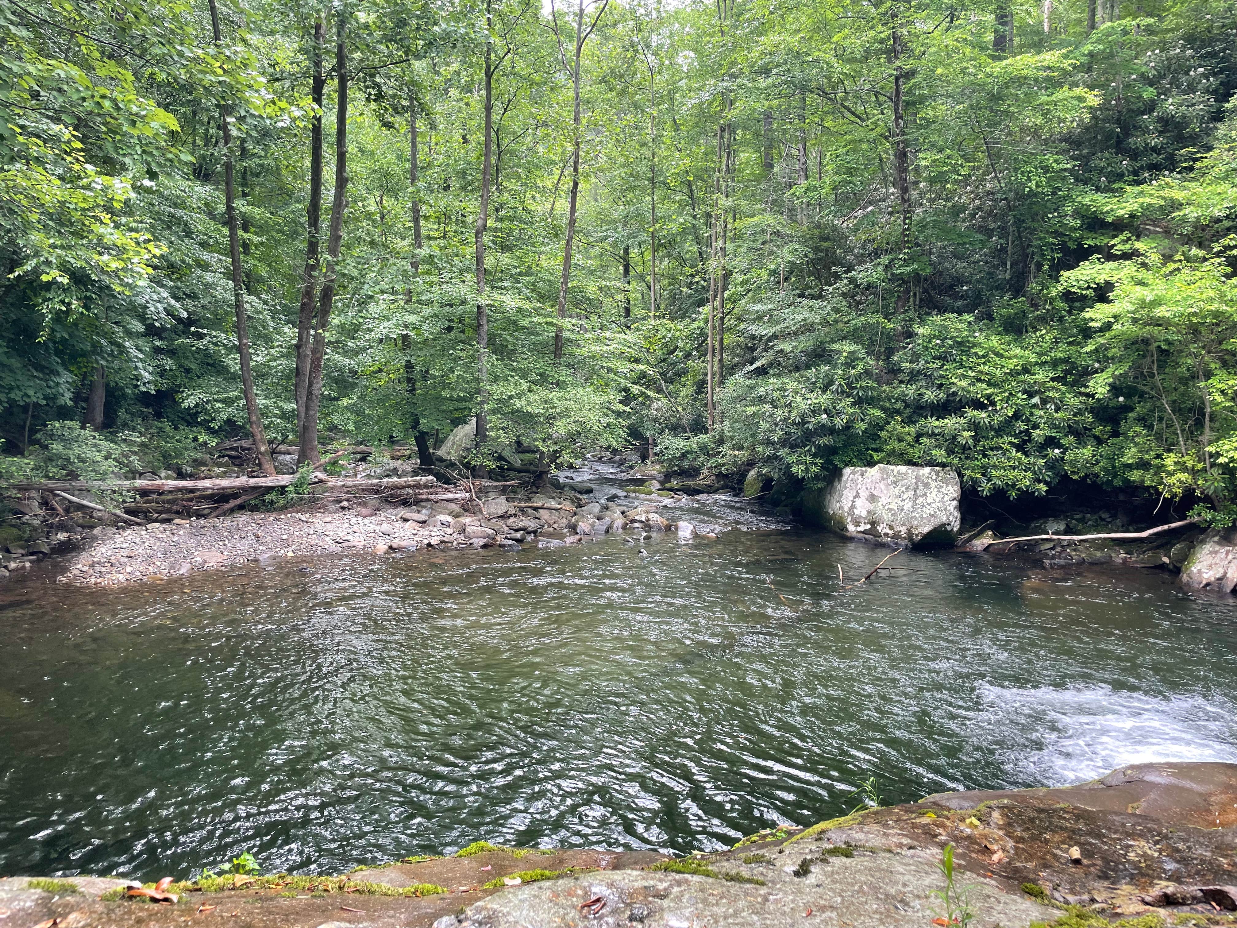 Camper-submitted photo at Harold Parrish Lower Camp - Backcountry near Tallassee, TN