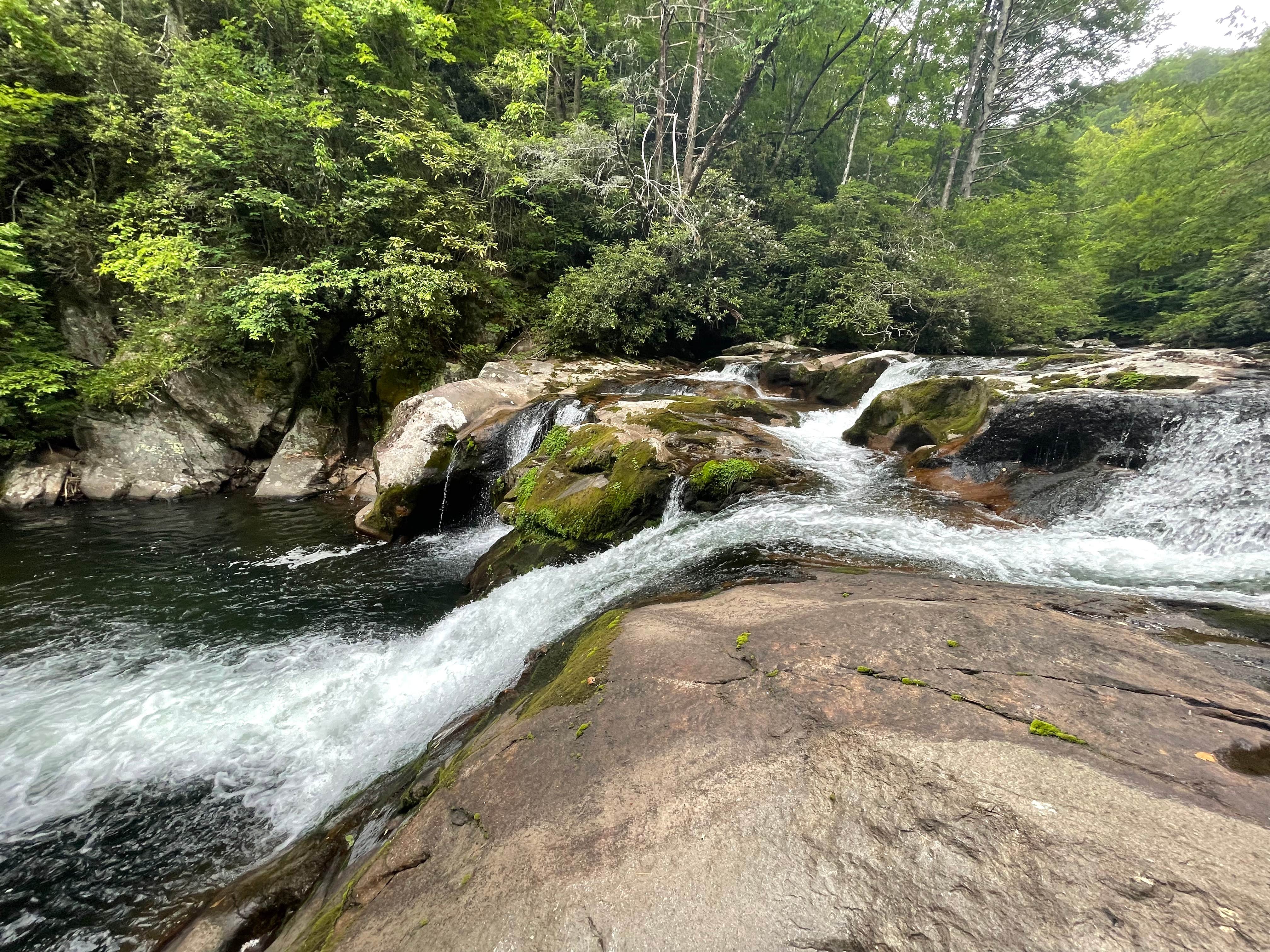 Camper-submitted photo at Harold Parrish Lower Camp - Backcountry near Tallassee, TN