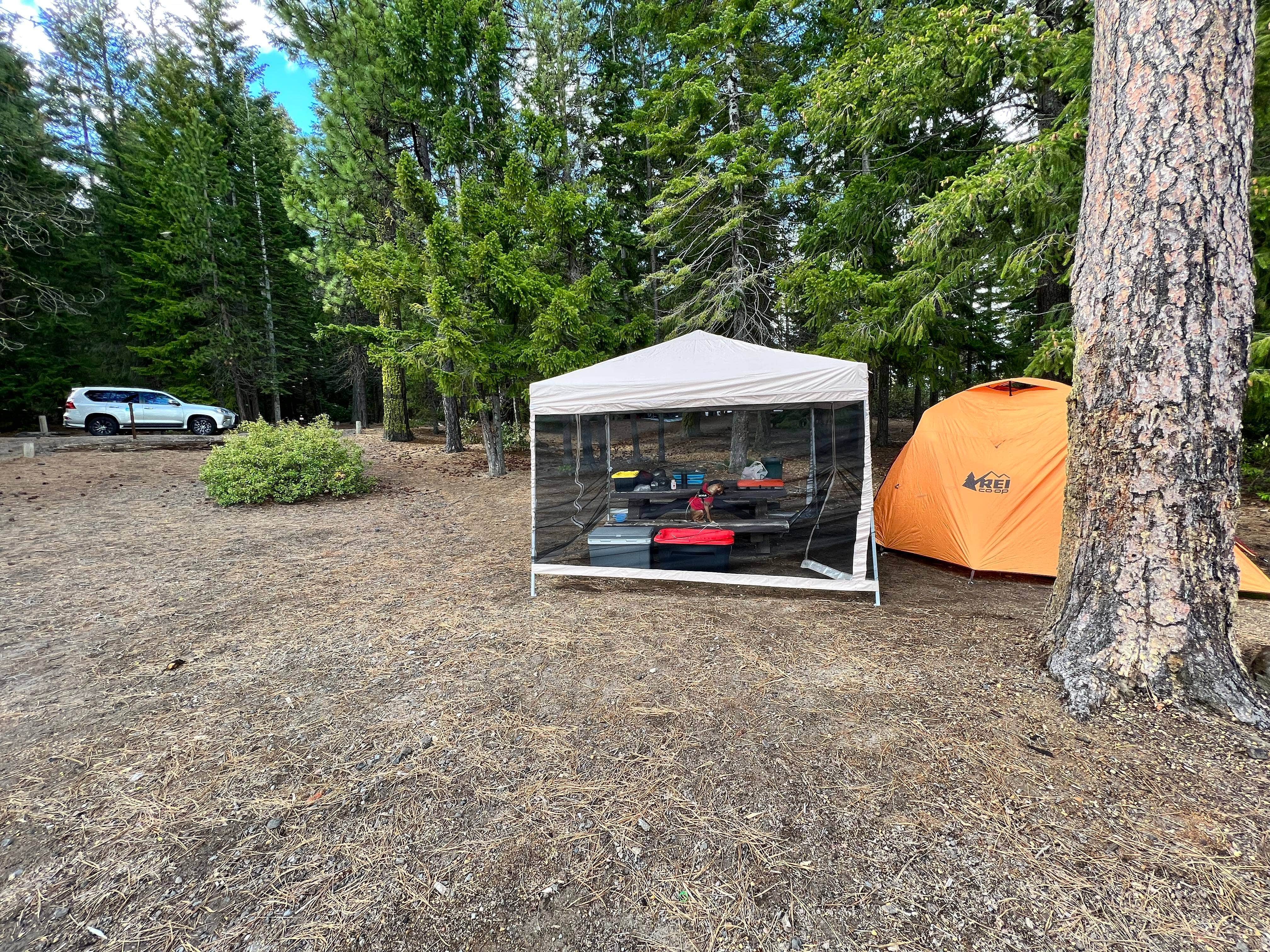 Camper-submitted photo at Crescent Lake Campground near Gilchrist, OR