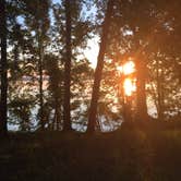Review photo of Cypress View Campground — Santee State Park by Meridith  M., July 17, 2018