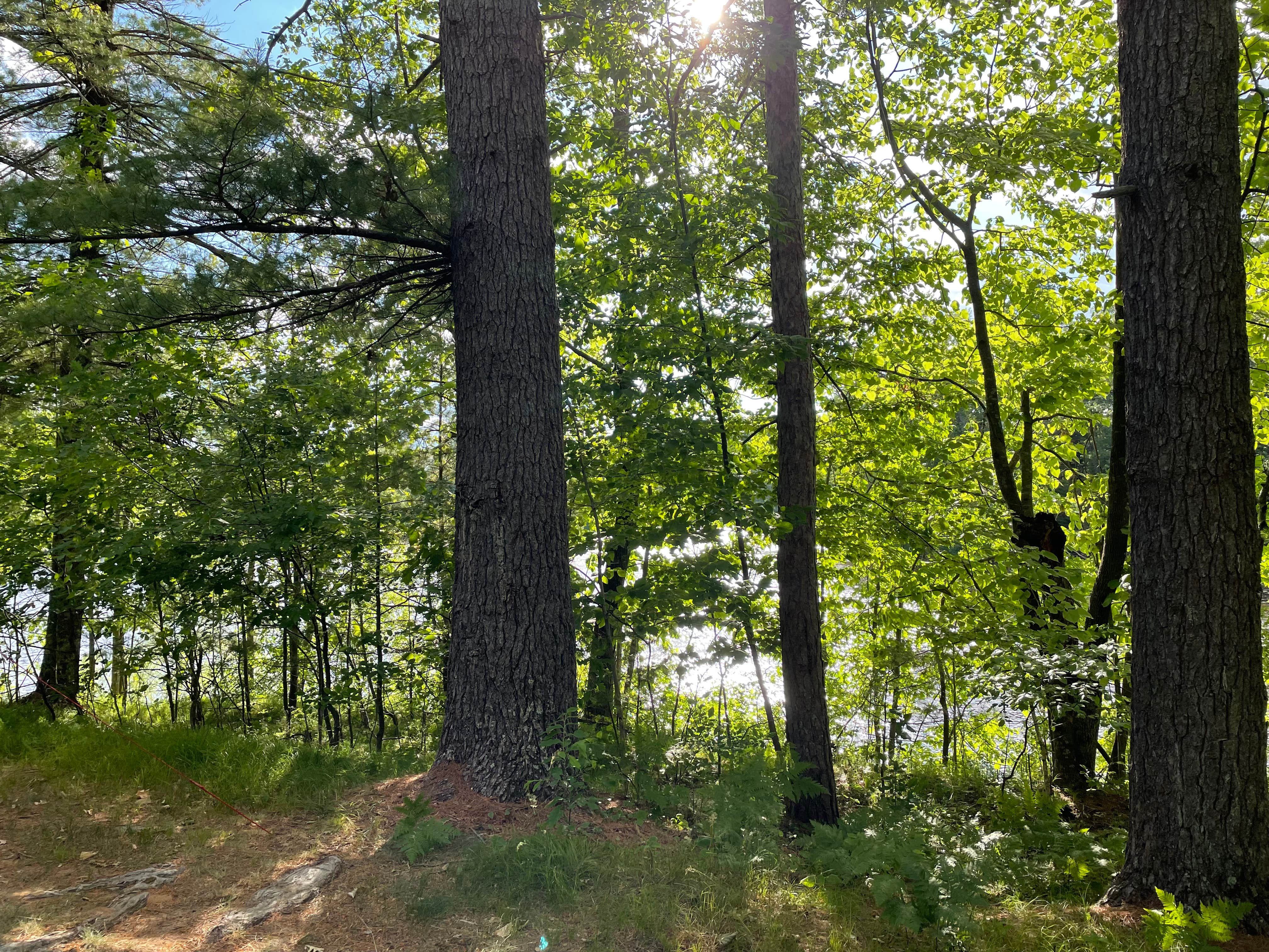 Camper-submitted photo at River Park near Baileys Harbor, WI