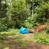 Review photo of Tillamook Forest Dispersed on the Nehalem River by Corinna B., July 17, 2018