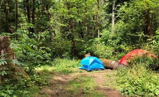 Corinna B.'s photo at Tillamook Forest Dispersed on the Nehalem River near Cannon Beach, OR