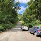 Review photo of Tillamook Forest Dispersed on the Nehalem River by Corinna B., July 17, 2018