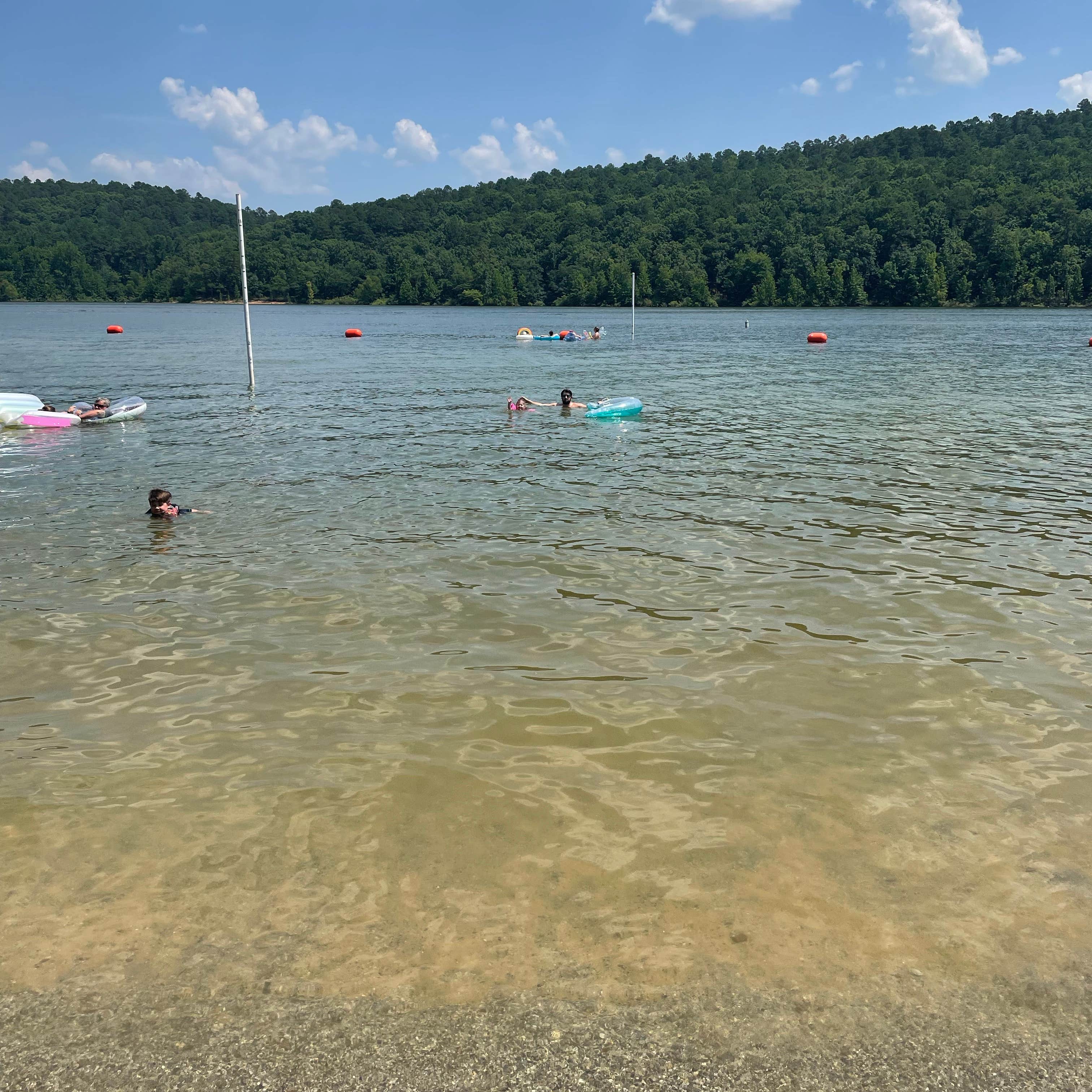 Cowhide Cove Campground Camping The Dyrt