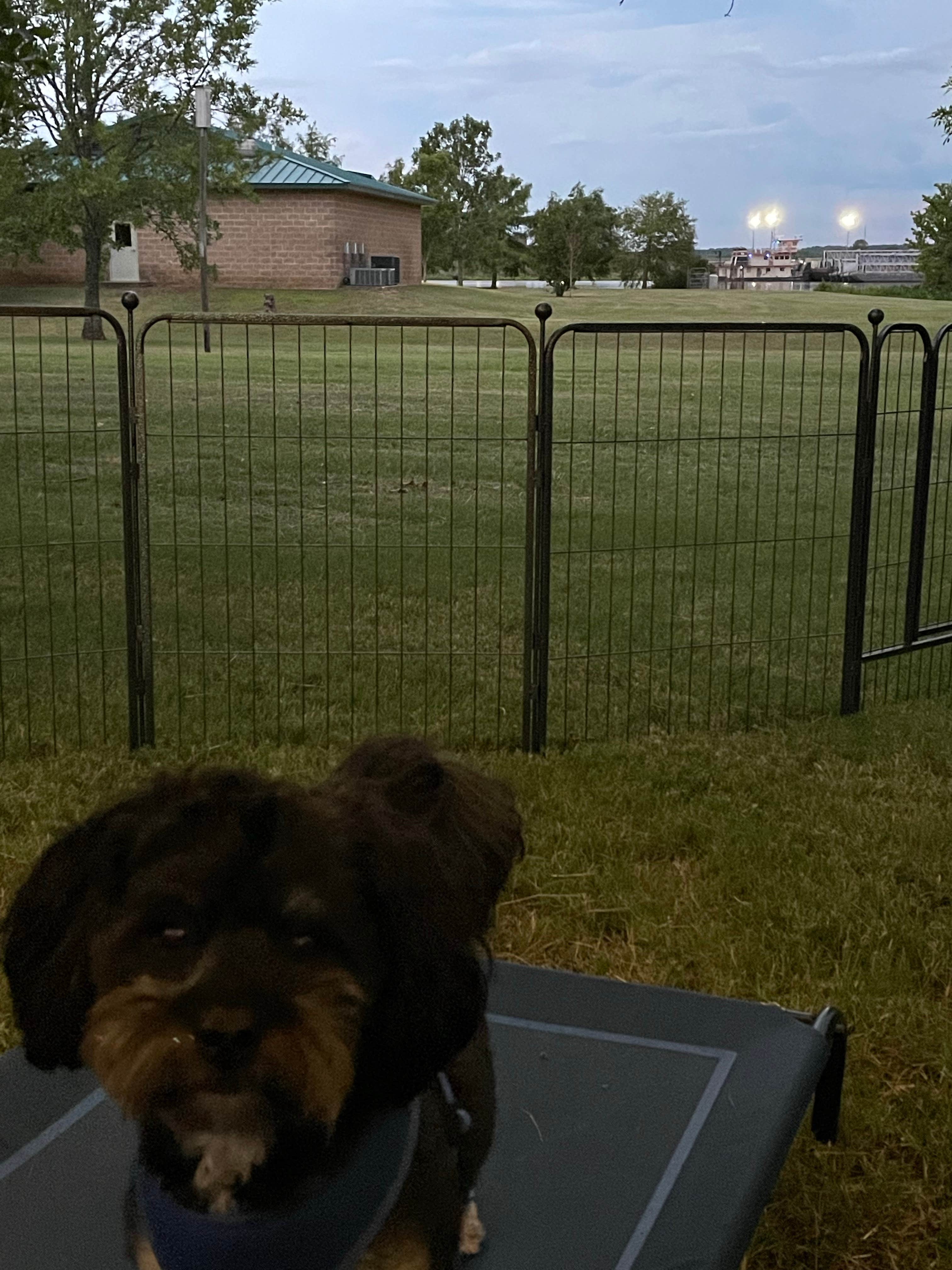 Camper submitted image from Colfax RV Park - 5