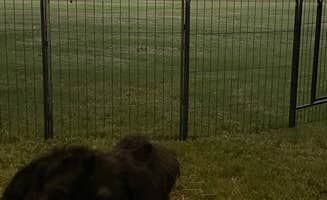 Shirley B.'s photo of camping with pets at Colfax RV Park near Alexandria, LA
