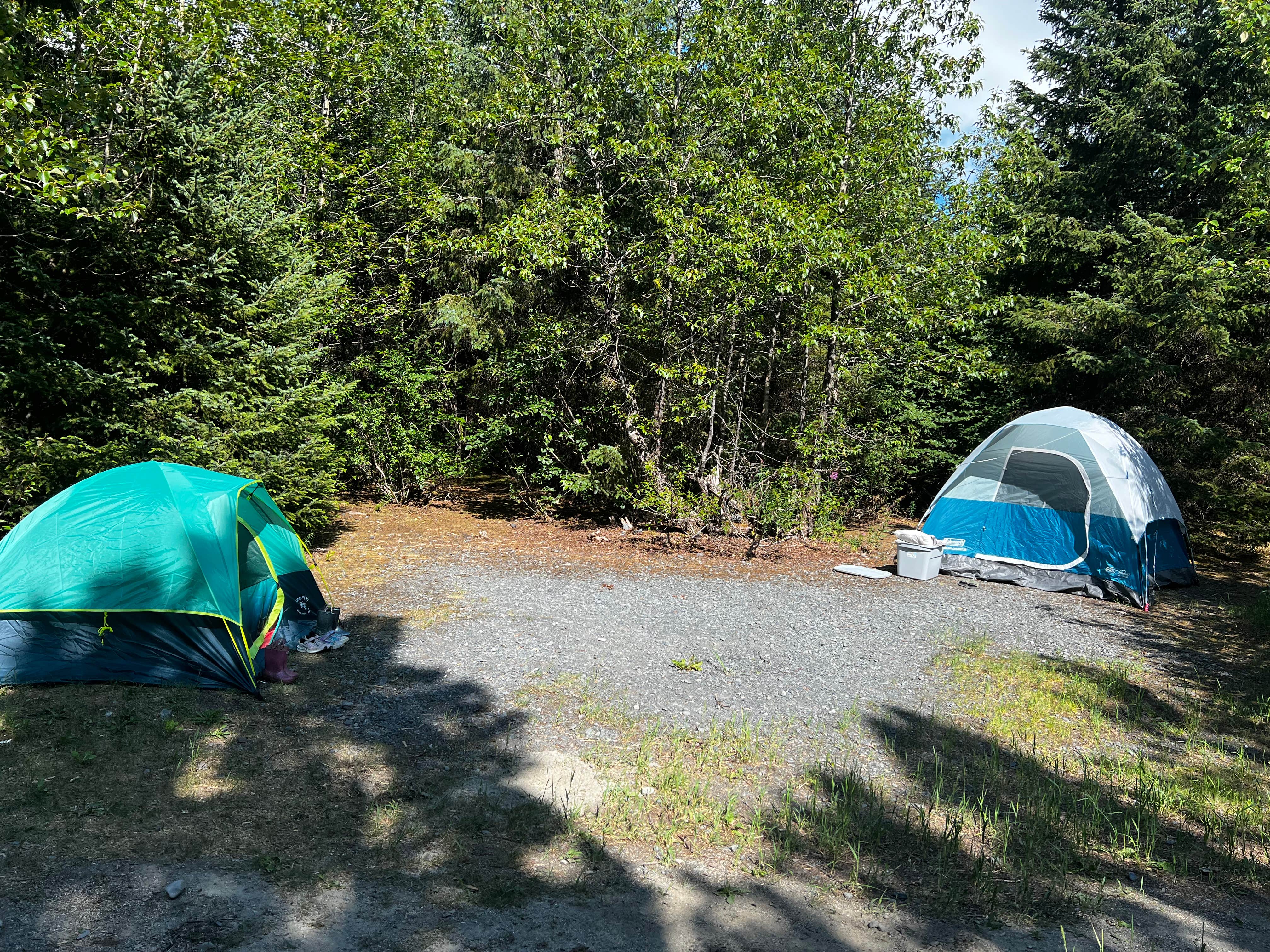 Samantha F.'s photo at Williwaw Campground near Girdwood, AK