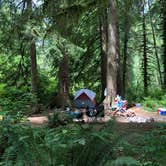 Review photo of Tillamook Forest Dispersed on the Nehalem River by Corinna B., July 17, 2018