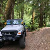 Review photo of Tillamook Forest Dispersed on the Nehalem River by Corinna B., July 17, 2018