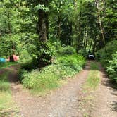 Review photo of Tillamook Forest Dispersed on the Nehalem River by Corinna B., July 17, 2018