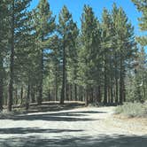 Review photo of Inyo National Forest Dispersed Camping by Jeffrey F., July 2, 2022