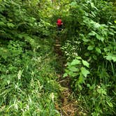 Review photo of Tillamook Forest Dispersed on the Nehalem River by Corinna B., July 17, 2018