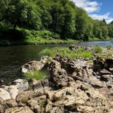 Review photo of Tillamook Forest Dispersed on the Nehalem River by Corinna B., July 17, 2018