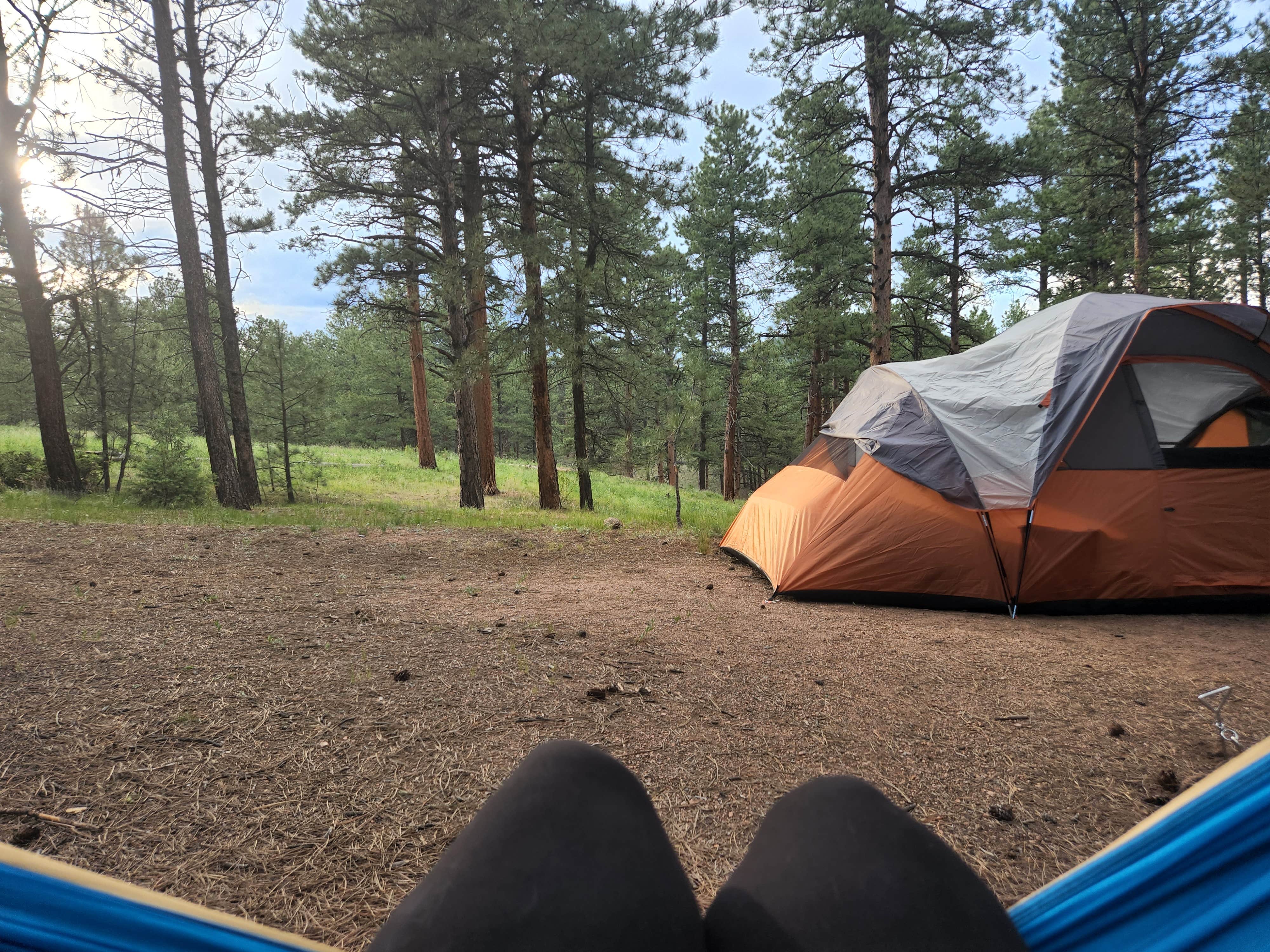 Stephanie F.'s photo at Buffalo Campground near Buffalo Creek, CO