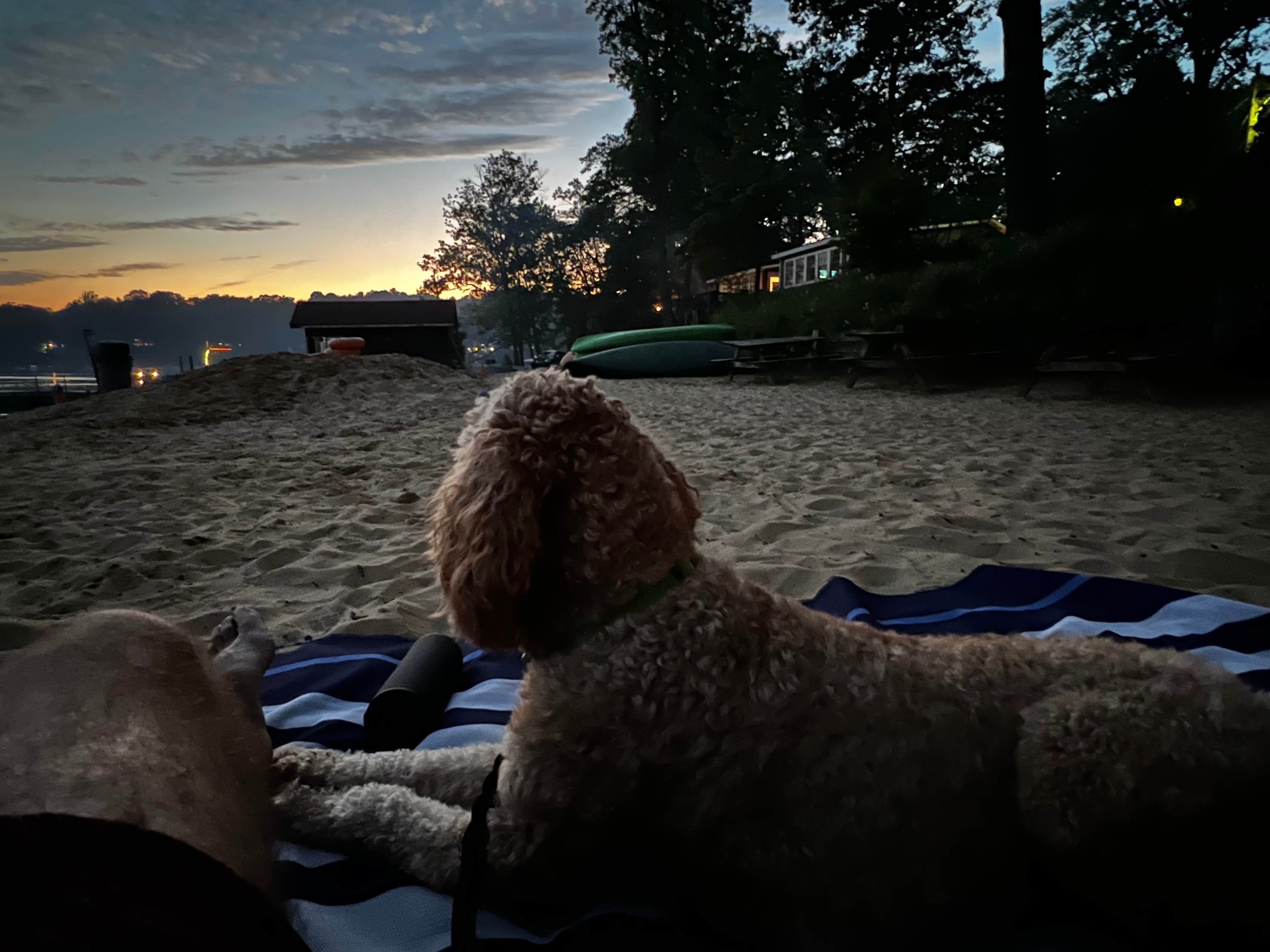 Curtis's photo of camping with pets at Fuller's Resort and Campground near South Bend, IN