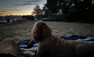Curtis's photo of camping with pets at Fuller's Resort and Campground near Union Pier, MI