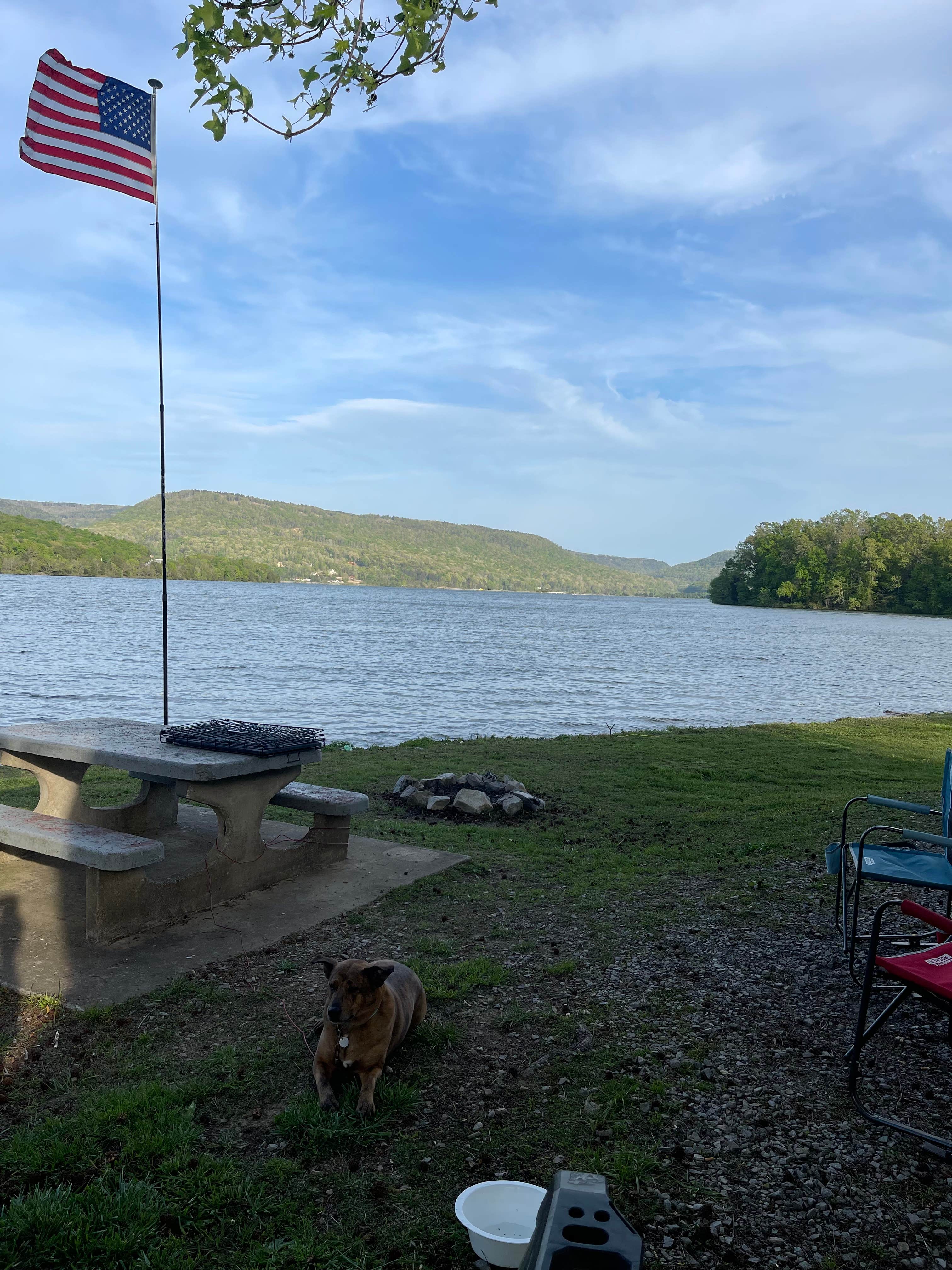Swain K.'s photo of camping with pets at Marion County Park near Chattanooga, TN