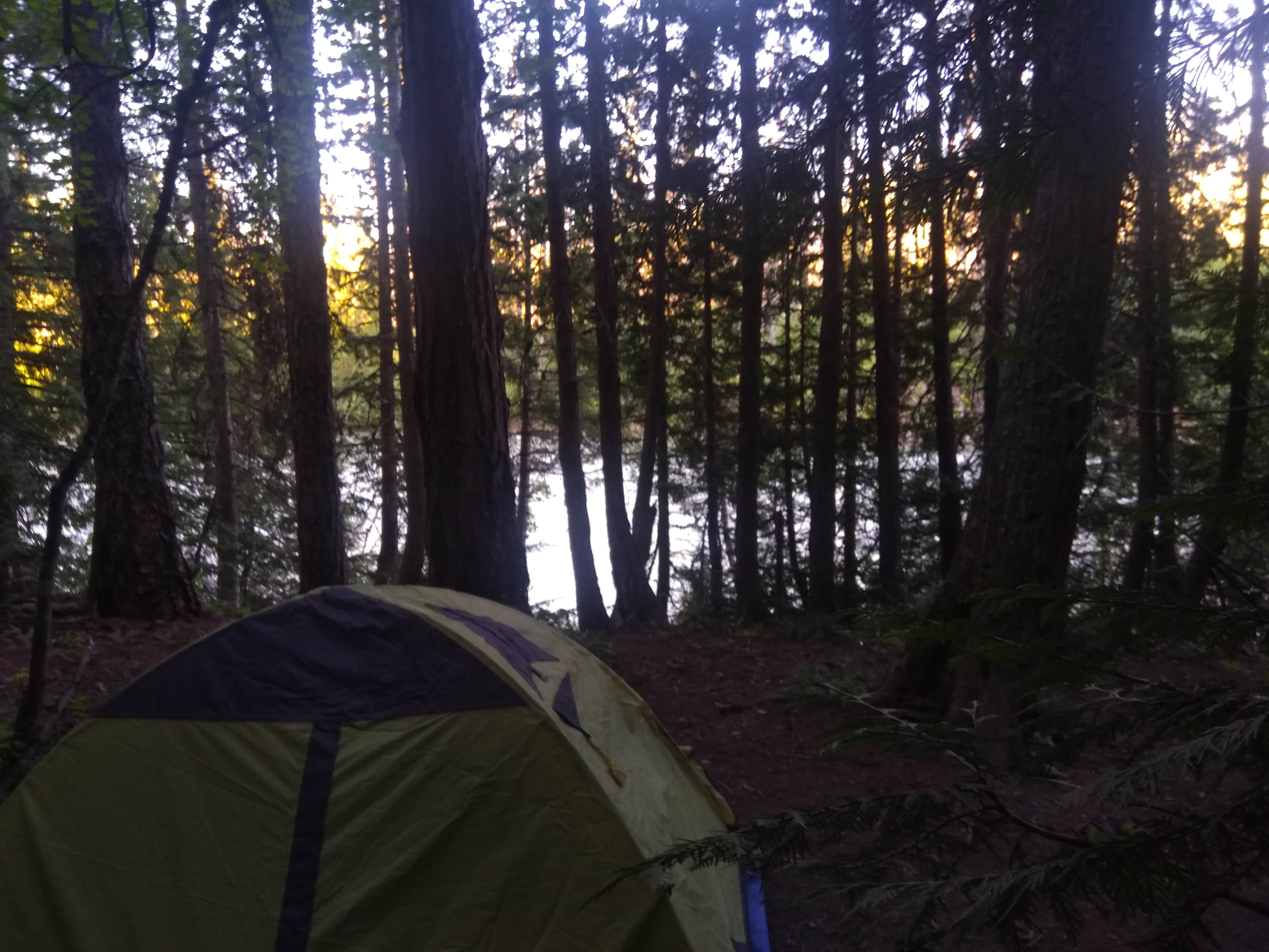 Camper submitted image from Glacier Rim River Access 10363 - 1