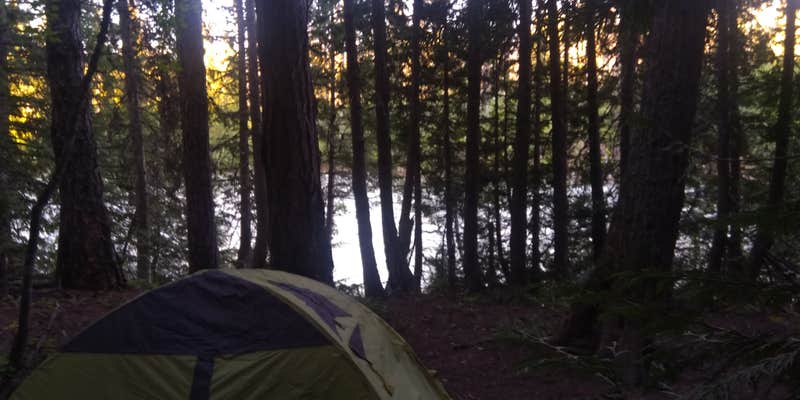 Camper submitted image from Glacier Rim River Access 10363