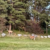 Review photo of Lake Cascade/Ridgeview Campground by Ch C., July 3, 2022