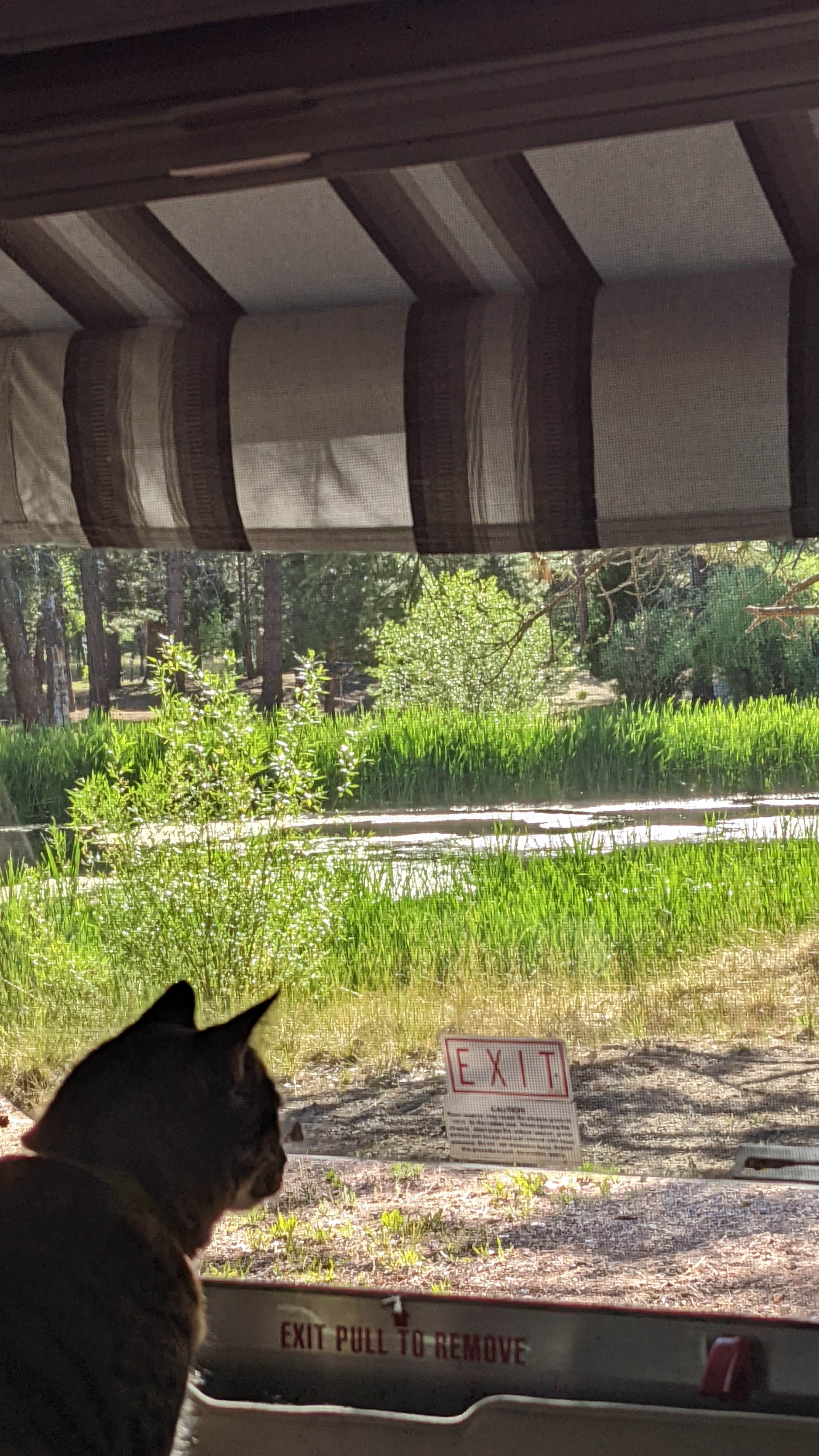 Camper-submitted photo at Burney Falls/Hat Creek KOA near Lassen Volcanic National Park